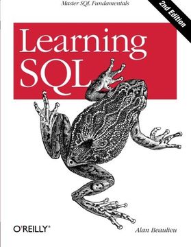 Learning Sql: Master sql Fundamentals