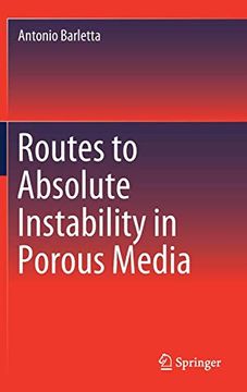 portada Routes to Absolute Instability in Porous Media (en Inglés)