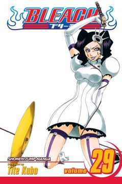 bleach 29