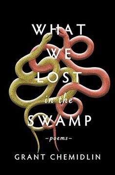 portada What we Lost in the Swamp: Poems 