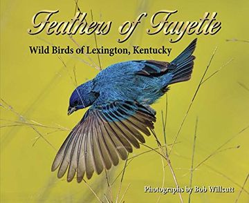 portada Feathers of Fayette: Wild Birds of Lexington, Kentucky (in English)