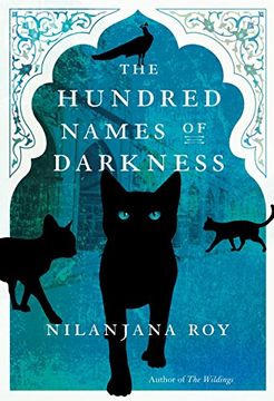 portada The Hundred Names of Darkness (en Inglés)