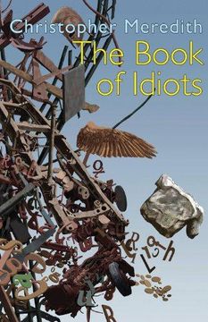 portada The Book of Idiots (en Inglés)