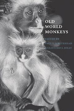 portada Old World Monkeys (en Inglés)