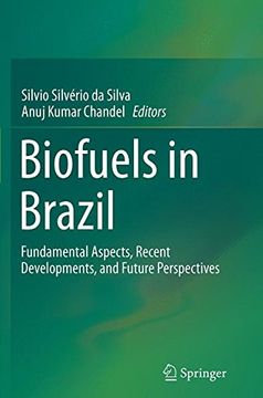 portada Biofuels in Brazil: Fundamental Aspects, Recent Developments, and Future Perspectives