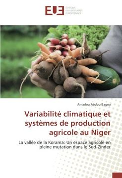 portada Variabilité Climatique et Systèmes de Production Agricole au Niger: La Vallée de la Korama: Un Espace Agricole en Pleine Mutation Dans le Sud-Zinder (in French)