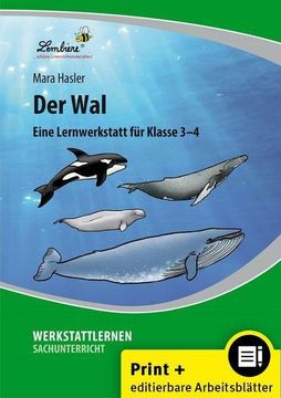 portada Der wal (en Alemán)