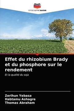 portada Effet du rhizobium Brady et du phosphore sur le rendement (en Francés)