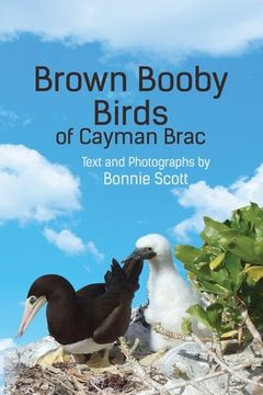 portada Brown Booby Birds of Cayman Brac