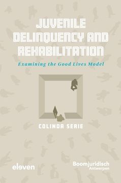 portada Juvenile Delinquency and Rehabilitation (en Inglés)