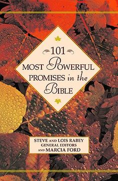 portada 101 most powerful promises in the bible (en Inglés)