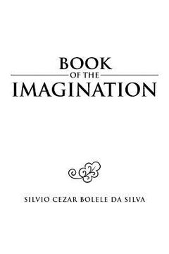 portada book of the imagination