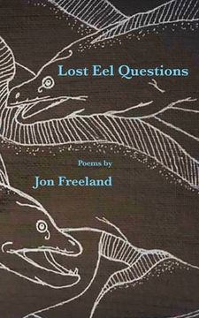 portada Lost Eel Questions (en Inglés)