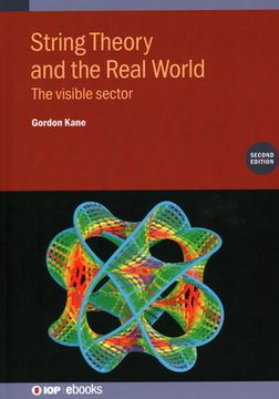 portada String Theory and the Real World (Second Edition): The visible sector (in English)