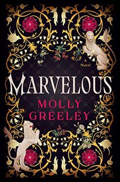 portada Marvelous: A Novel (en Inglés)