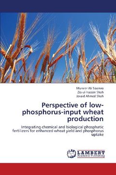 portada Perspective of Low-Phosphorus-Input Wheat Production