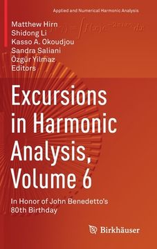 portada Excursions in Harmonic Analysis, Volume 6: In Honor of John Benedetto's 80th Birthday (in English)