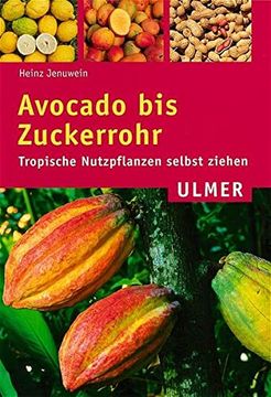 portada Avocado bis Zuckerrohr: Tropische Nutzpflanzen Selbst Ziehen (en Alemán)