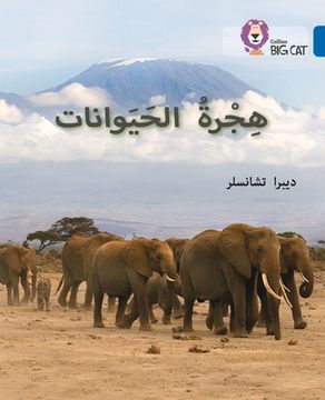 portada Animal Migration: Level 13 (Collins Big Cat Arabic Reading Programme) (en Inglés)