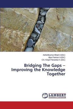 portada Bridging The Gaps - Improving the Knowledge Together
