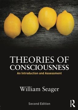 portada Theories of Consciousness: An Introduction and Assessment