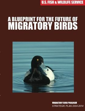 portada A Blueprint for the Future of Migratory Birds: Migratory Bird Program Strategic Plan 2004-2014
