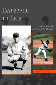 portada Baseball in Erie (in English)