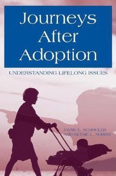 portada Journeys After Adoption: Understanding Lifelong Issues (en Inglés)