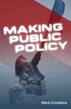portada making public policy: institutions, actors, strategies (en Inglés)
