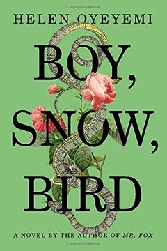 portada Boy, Snow, Bird: A Novel (in English)
