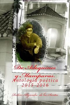 portada De Adoquines y Mamparas: Antología Poética 2015-2016