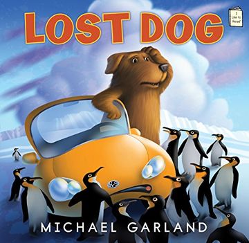 portada Lost dog (i Like to Read) 
