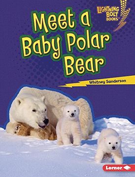portada Meet a Baby Polar Bear (Lightning Bolt Books ® ― Baby North American Animals) 