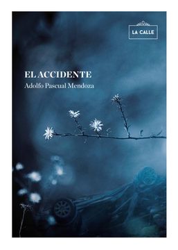 portada El Accidente (in Spanish)