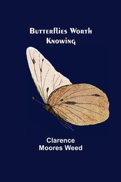 portada Butterflies Worth Knowing (en Inglés)