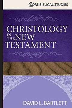 portada Christology in the new Testament (Core Biblical Studies) (en Inglés)