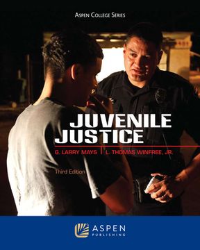 portada juvenile justice, third edition (in English)