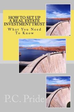 portada How To Set Up A Real Estate Investment Trust (en Inglés)
