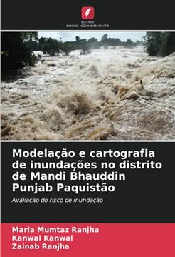 portada Modelação e Cartografia de Inundações no Distrito de Mandi Bhauddin Punjab Paquistão: Avaliação do Risco de Inundação (en Portugués)