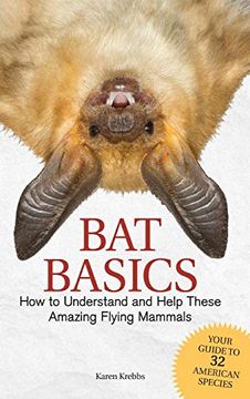 portada Bat Basics: How to Understand and Help These Amazing Flying Mammals (en Inglés)