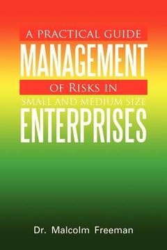 portada a practical guide - management of risks in small and medium-size enterprises (en Inglés)