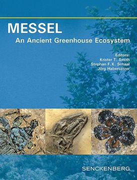 portada Messel - an Ancient Greenhouse Ecosystem (en Inglés)