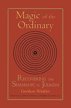 portada Magic of the Ordinary: Recovering the Shamanic in Judaism (in English)