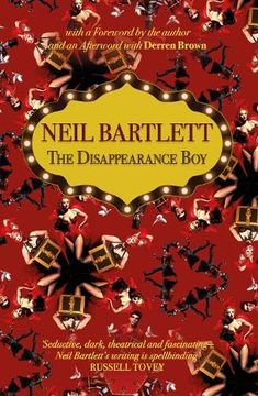 portada The Disappearance boy (in English)