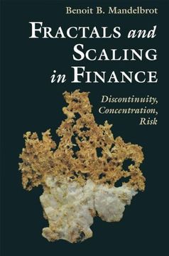 portada fractals and scaling in finance: discontinuity, concentration, risk