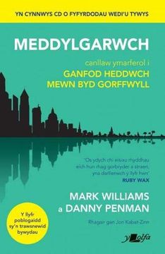 portada Darllen yn Well: Meddylgarwch - Canllaw Ymarferol i Ganfod Heddwch Mewn byd Gorffwyll 