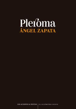 portada PLEROMA (in Spanish)