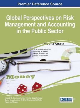 portada Global Perspectives on Risk Management and Accounting in the Public Sector (in English)