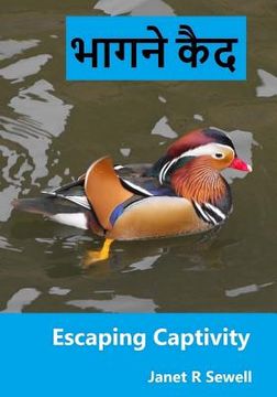 portada Escaping Captivity: A Simple Guide to Becoming Whole in Christ (en Hindi)