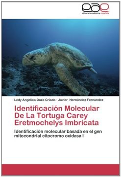 portada Identificación Molecular De La Tortuga Carey Eretmochelys Imbricata: Identificación molecular basada en el gen mitocondrial citocromo oxidasa I